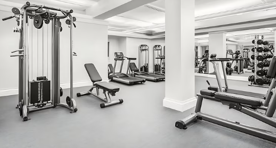 A modern gym with various fitness equipment