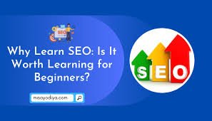why we learn SEO